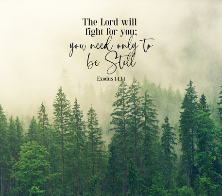 Christianity Quote - Forest Trees - Realistic 20 Oz Sublimation Transfer