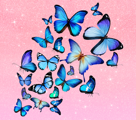 Blue Polyommatinae Butterflies - Pink w/ White Sparkles - 20 Oz Sublimation Transfer
