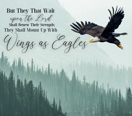 Motivational Quote - "Mount Up With Wings As Eagles" - Forest Trees - Realistic - 20 Oz Sublimation Transfer