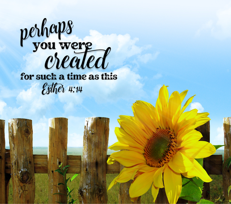 Christianity Quote - "Perhaps You Were Cheated For Such a Time As This" - Yellow Sunflower w/ Brown & Blue Background - Realistic - 20 Oz Sublimation Transfer